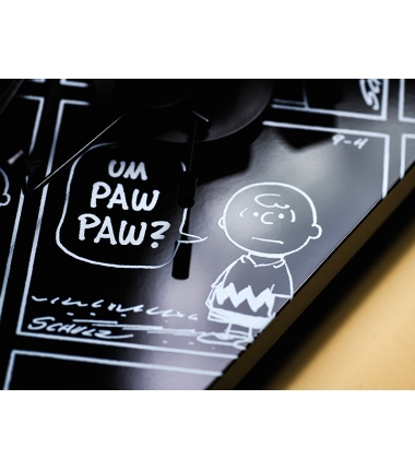 Pro-Ject Peanuts Turnatble