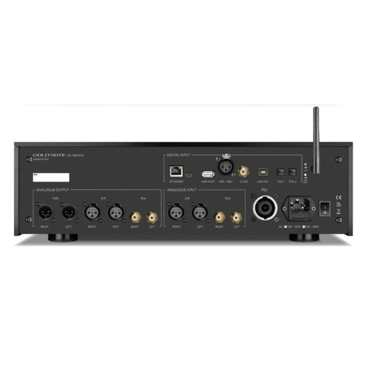 Goldnote DS-1000 Evo
