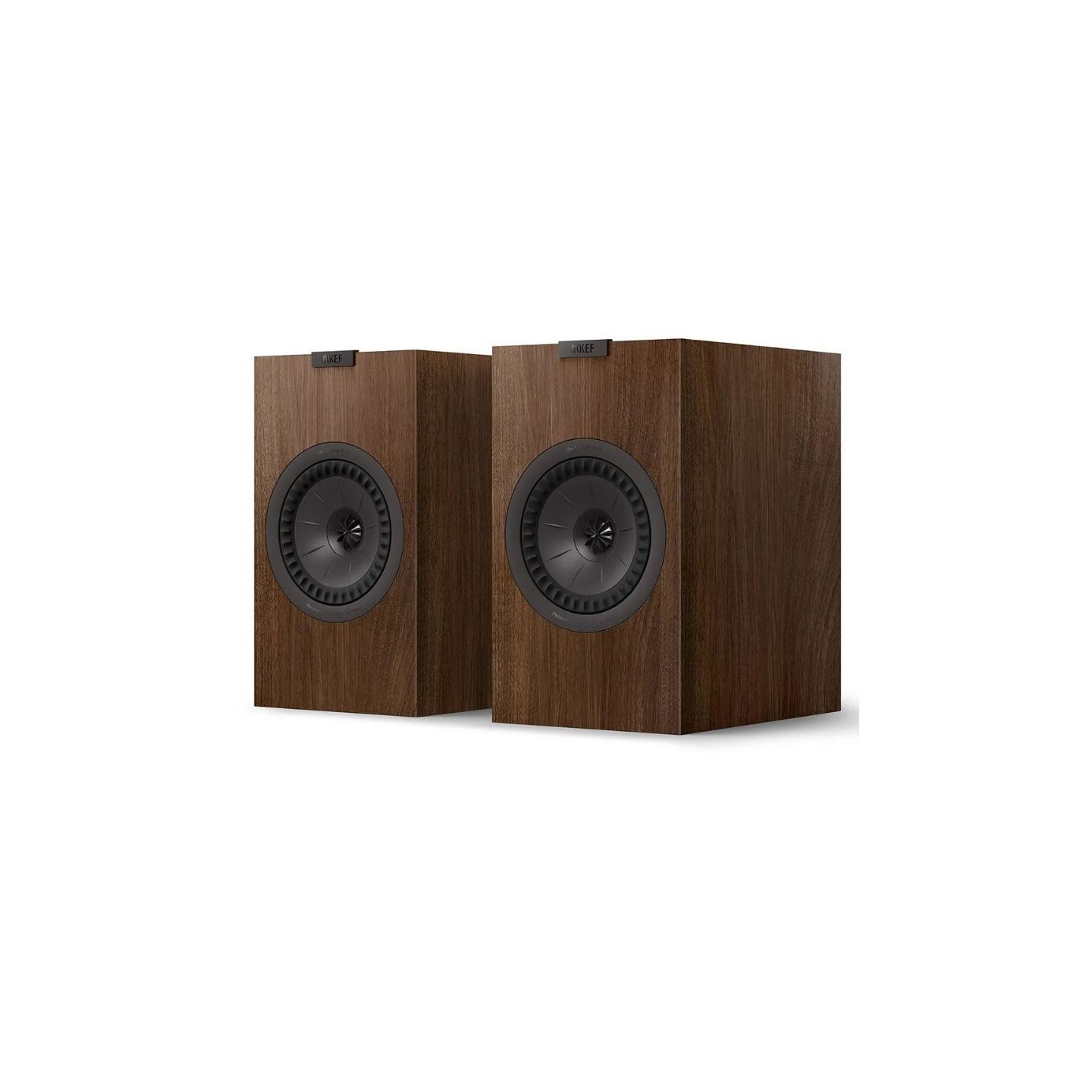 Kef Q1 META