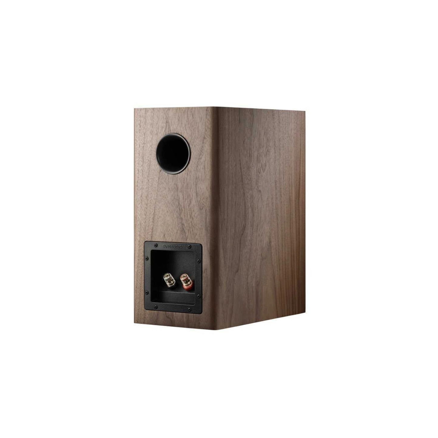 Dynaudio Evoke-20