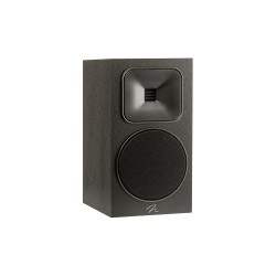 Martin Logan Foundation B2