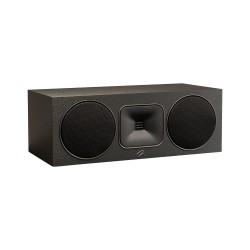 Martin Logan Foundation C1