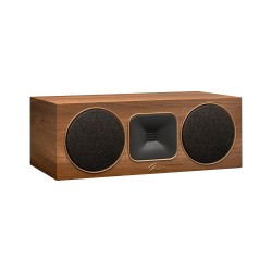 Martin Logan Foundation C1