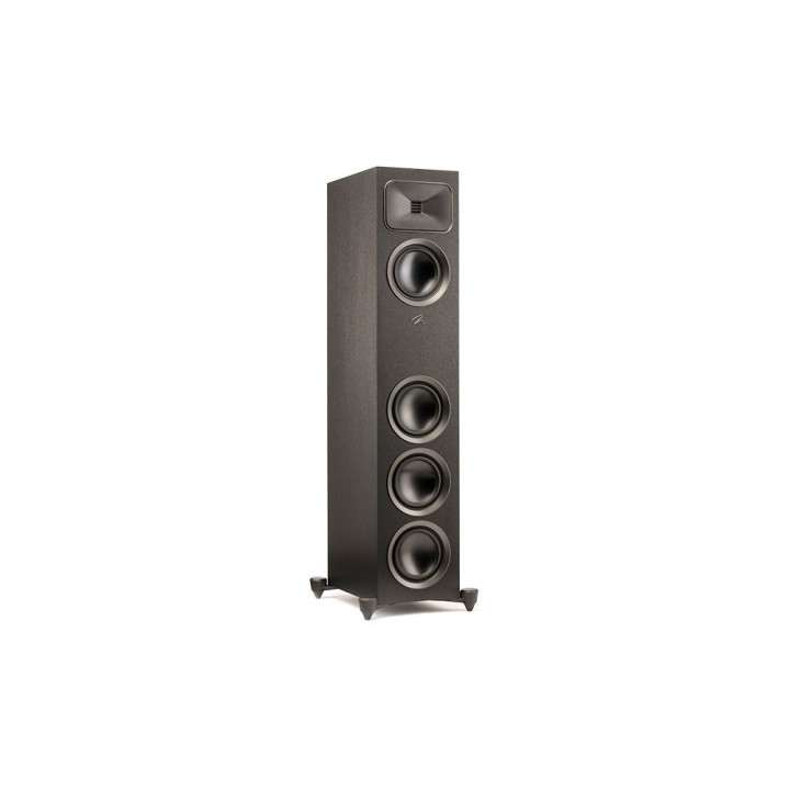 Martin Logan Foundation F1